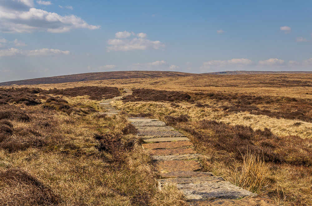 Brown Knoll Brown Knoll